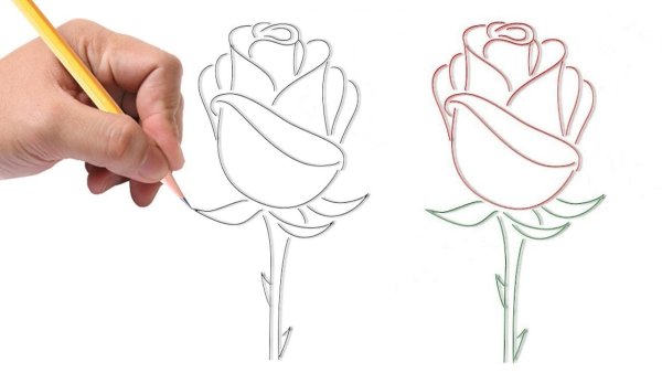 Поэтапное рисование розы 3 класс