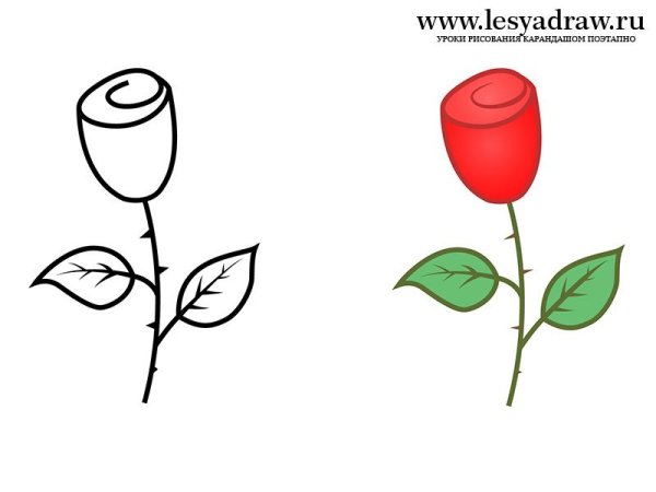 Поэтапное рисование розы для детей