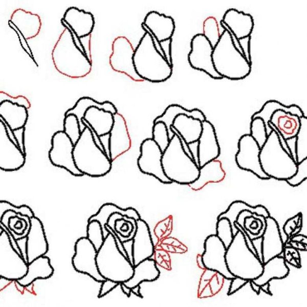 Простой способ рисования розы