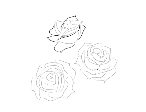 Розы рисунок карандашом для срисовки маленькие