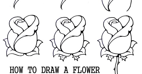 Рисунок розы для срисовки для начинающих