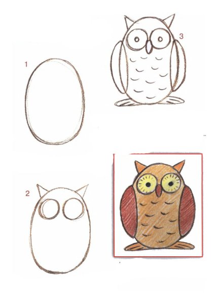 Как нарисовать сову пошагово