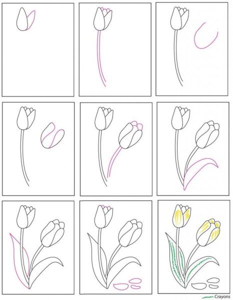 Поэтапное рисование цветы