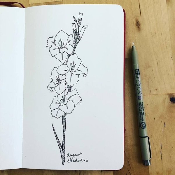 Рисунки цветов в скетчбук