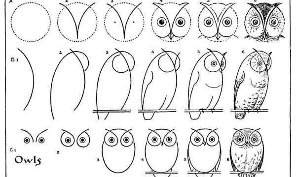 Как нарисовать сову карандашом поэтапно