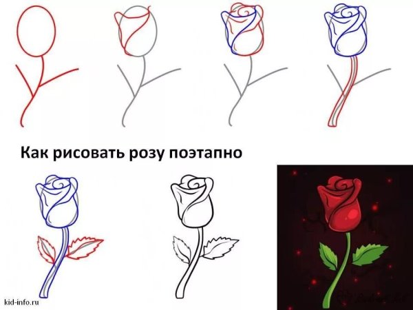 Как рисуется роза