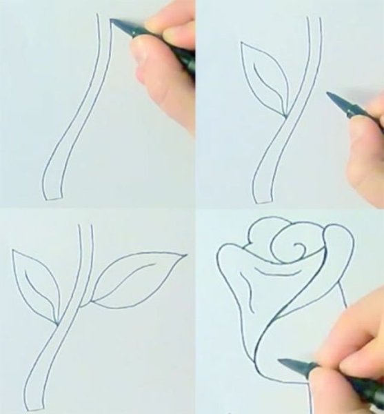 Рисование легкое ручкой для начинающих