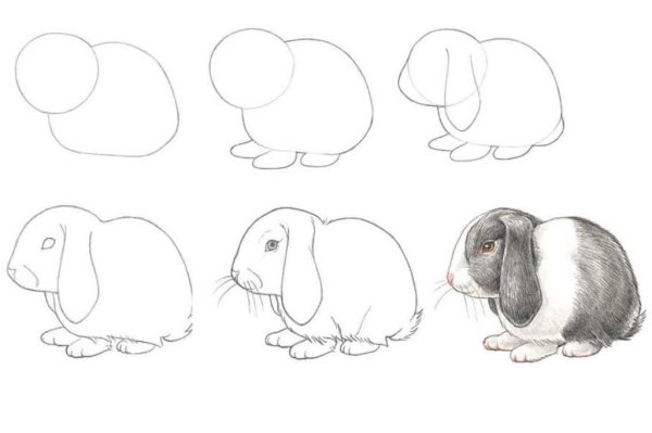 Нарисовать кролика поэтапно