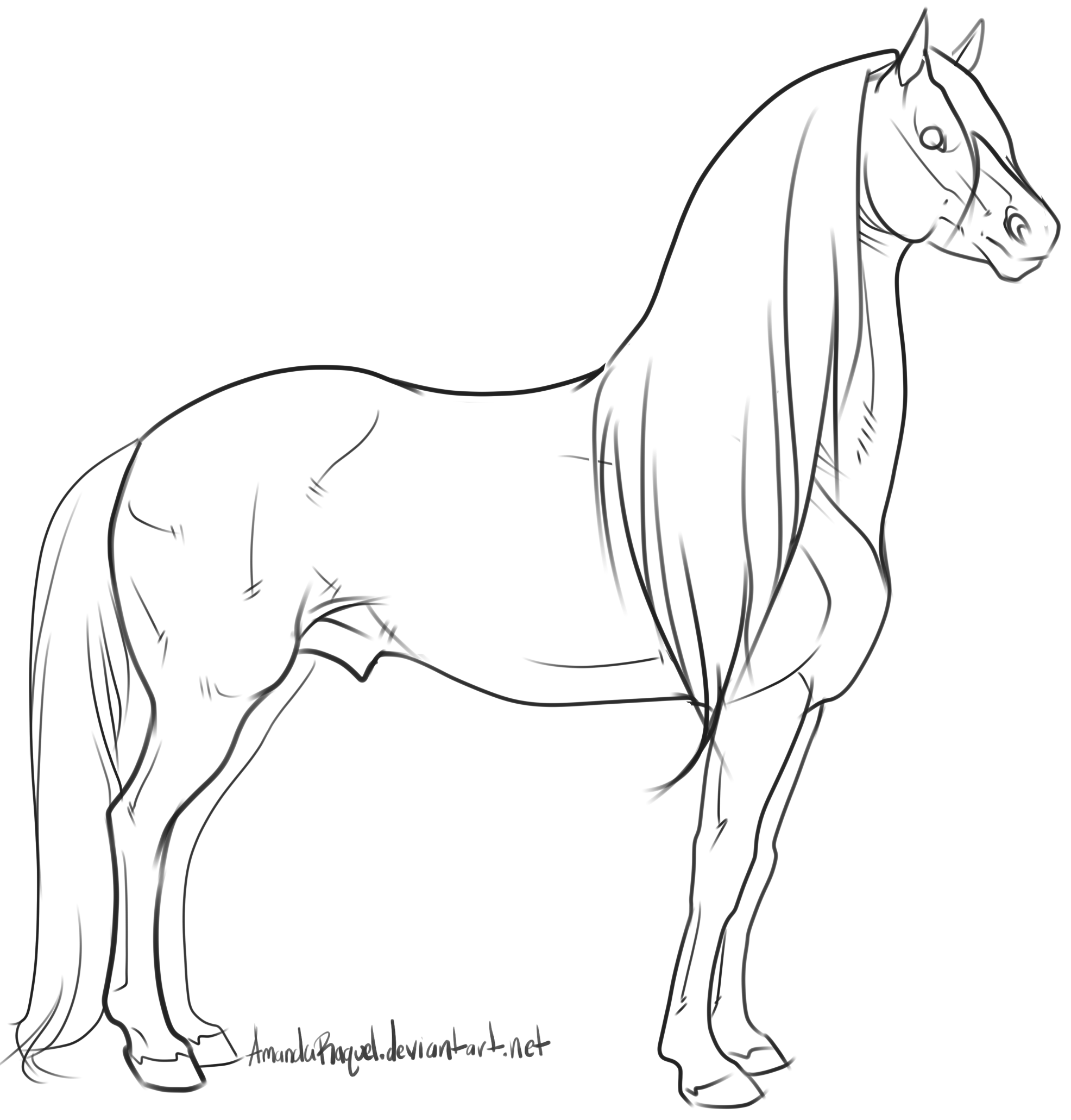 Красивые лошади для срисовки. Лошадь рисунок. Набросок лошади легкий. Лошадка для рисования. Лошадь для срисовки в полный рост.