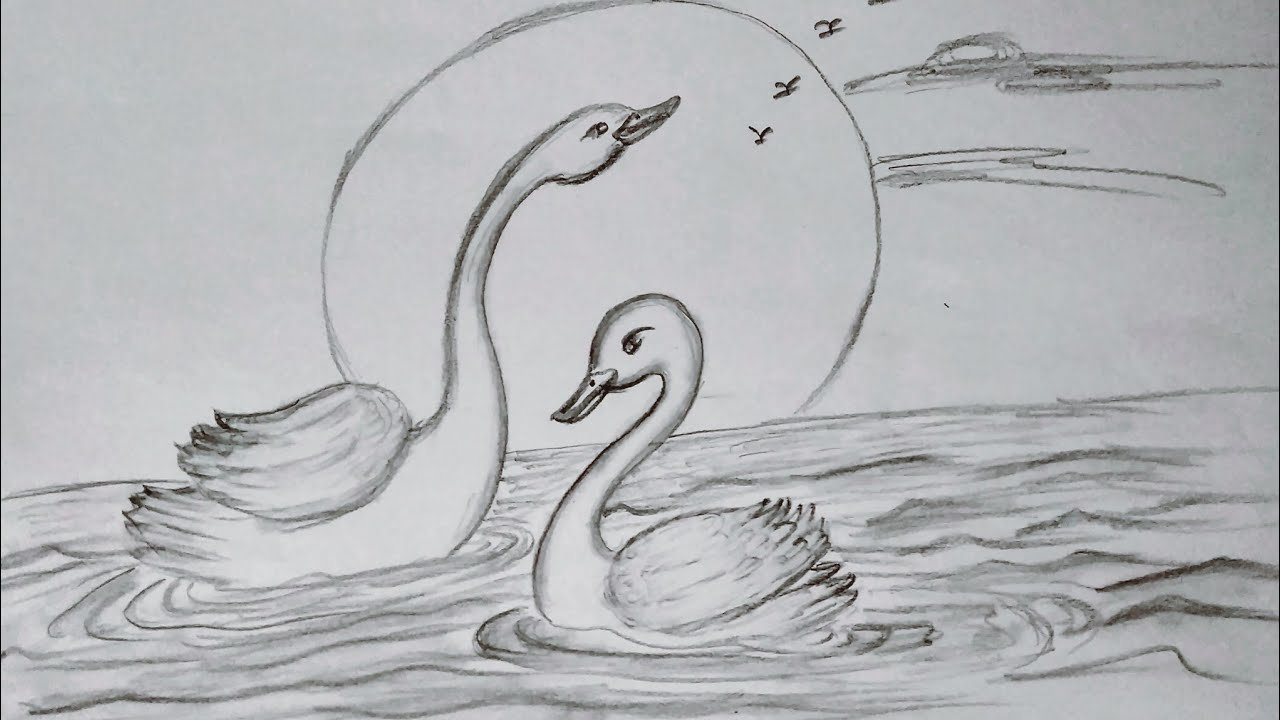 Нарисовать рисунок лебедушка. Лебедь рисунок. Рисование лебедя. Рисунок лебедей на озере карандашом. Лебедь рисунок карандашом для срисовки.
