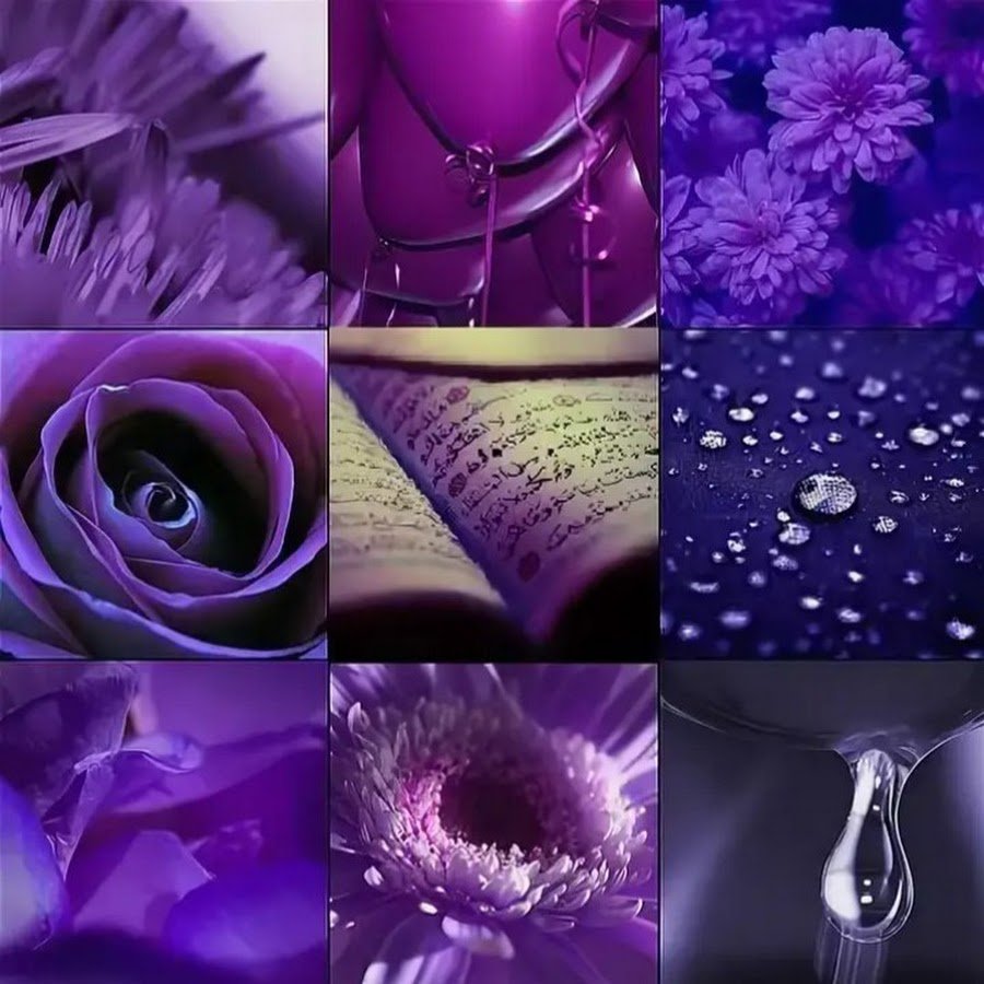 Фиолетовый вб. Фиолетовые предметы. Предметы фиолетового цвета. Красивый фиолетовый. Коллаж в фиолетовых тонах.