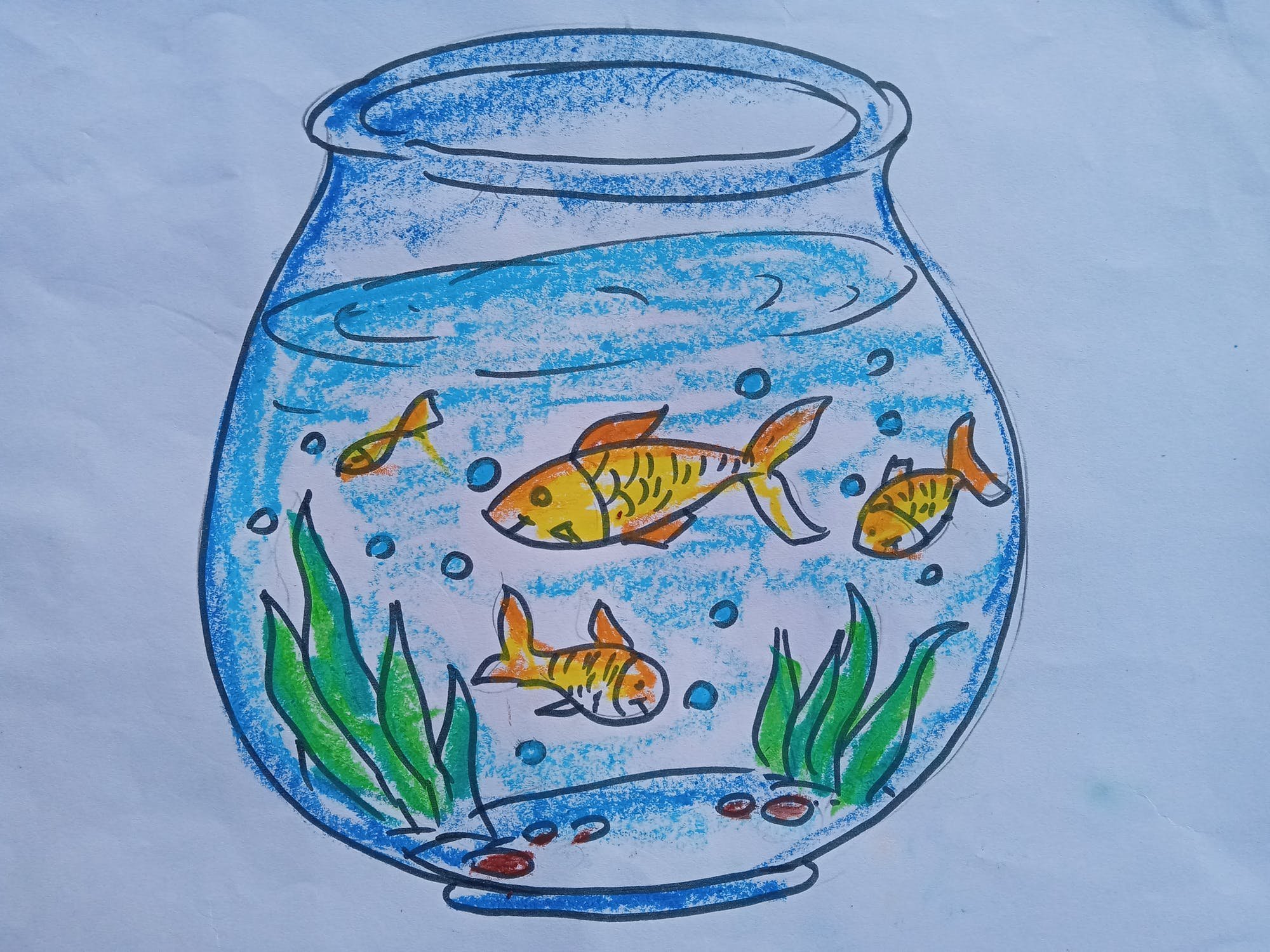 Рисования рыбки плавают в аквариуме. Аквариум рисунок. Аквариум с рыбками для детей. Рыбки в аквариуме рисование. Рисование для детей рыбки в аквариуме.