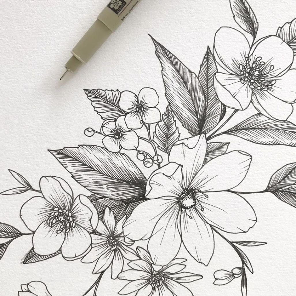 Картинки для срисовки в цвете. Букет цветов карандашом для срисовки. Рисунки цветов черной ручкой. Рисунки ручкой цветы. Рисунки чёрной ручкой цветы.