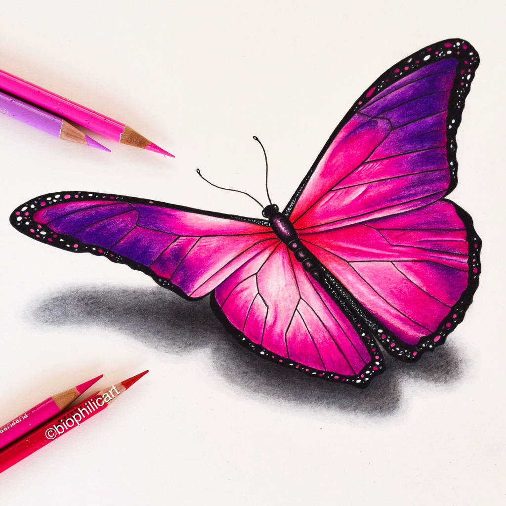 Красивые картинки для срисовки цветные. Бабочка цветными карандашами. Красивые рисунки цветные. Рисование бабочки. Бабочка карандашом.