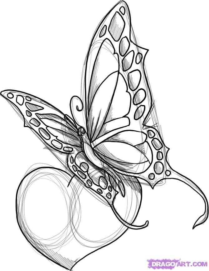 Бабочка рисунок карандашом. Рисунок бабочки карандашом для срисовки. Рисование бабочки карандашом. Красивые бабочки карандашом