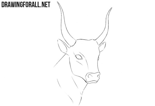 Идеи для срисовки красивый быка (90 фото)