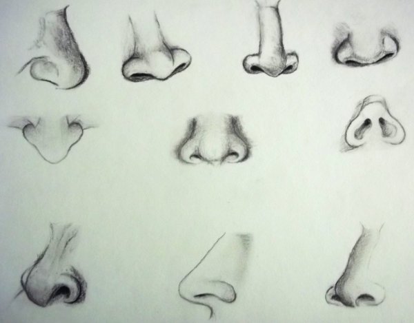 Идеи для срисовки красивый нос (90 фото)