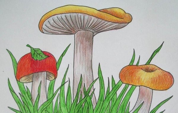 Идеи для срисовки красивые грибочки (90 фото)