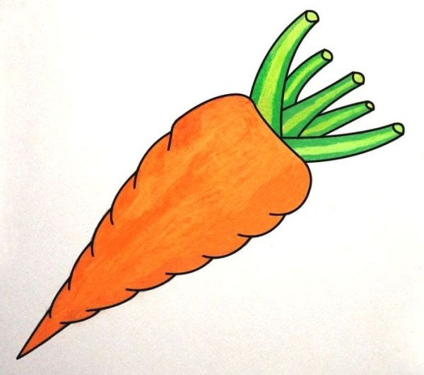 Идеи для срисовки красивая морковь (90 фото)