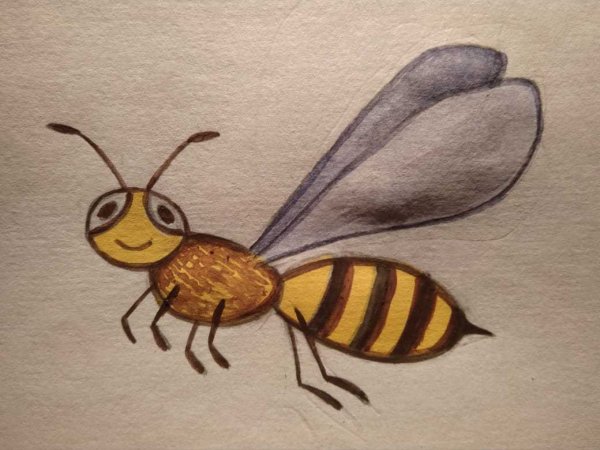 Идеи для срисовки пчелы красивые (90 фото)