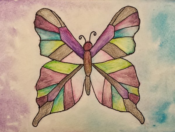 Идеи для срисовки красивые бабочки картинки (90 фото)