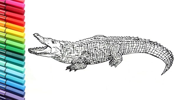 Идеи для срисовки красивый крокодил (90 фото)