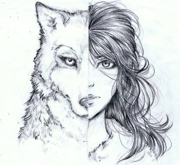 Идеи для срисовки красивые волчица (90 фото)