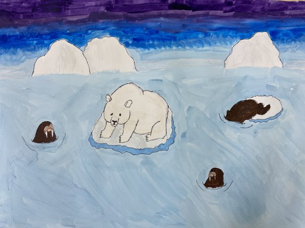 Рисунки жителей Арктики