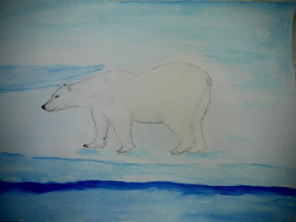 Рисование животных Арктики