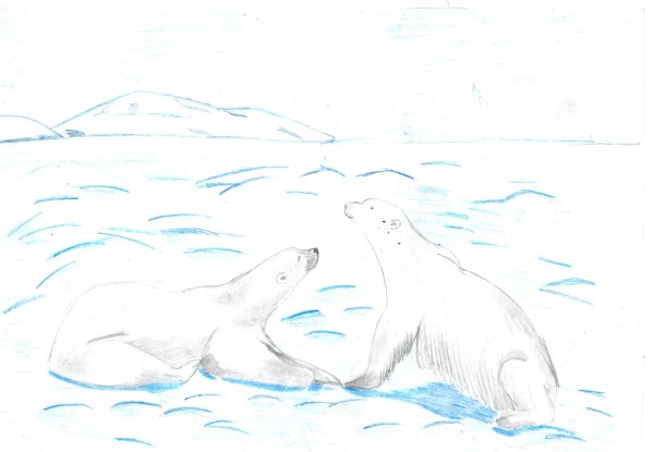 Картинки Арктики для срисовки