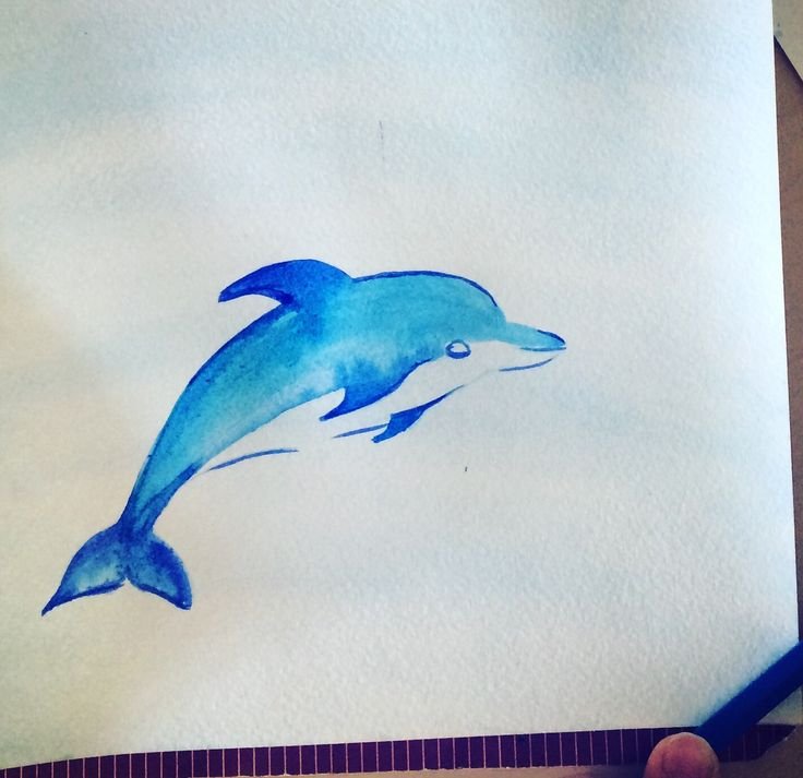 Рисунок дельфина