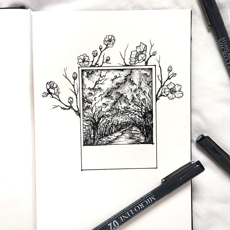 Рисунки черной ручкой