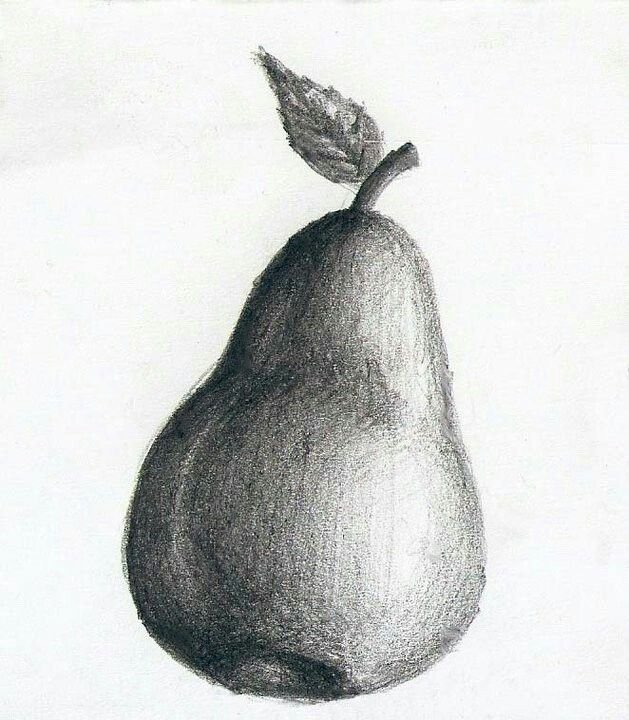 Рисование фруктов карандашом