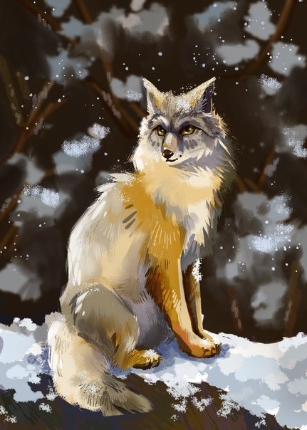 Корсак лиса арт