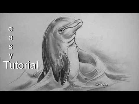 Дельфин рисунок карандашом