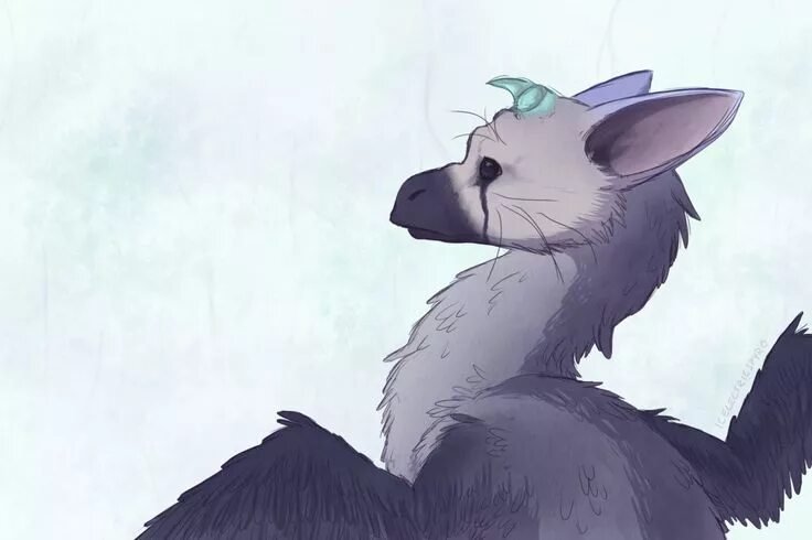 The last Guardian трико референс