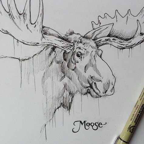 Лось рисунок