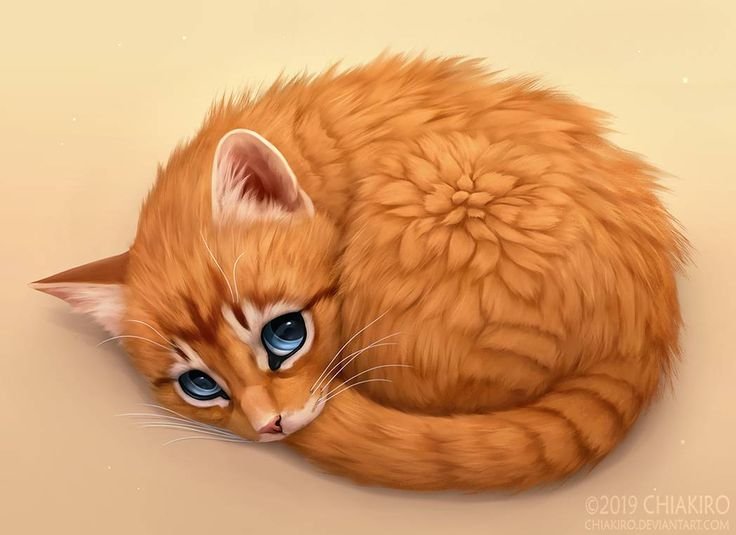 Рыжая кошка