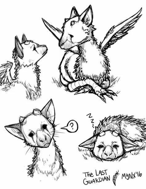 The last Guardian трико фурри
