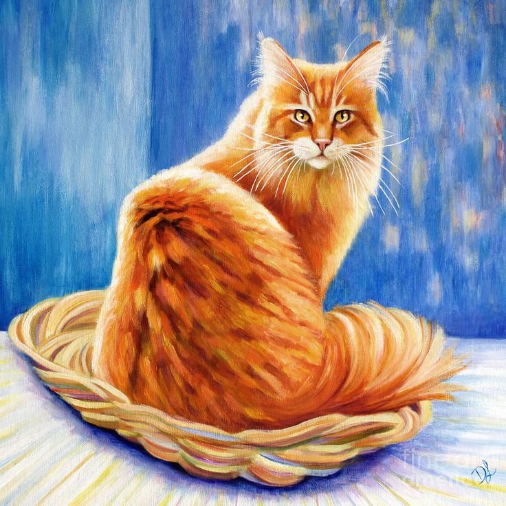 Рыжий котик