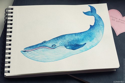 Синий кит рисунок