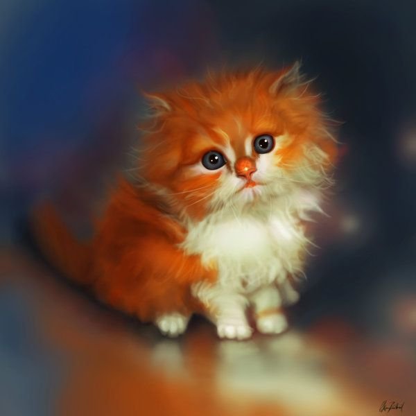 Милый рыжий котенок