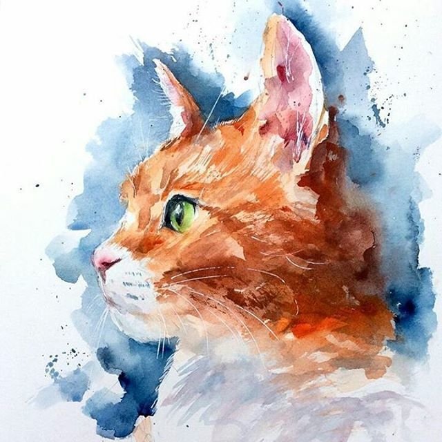 Портрет кота акварелью
