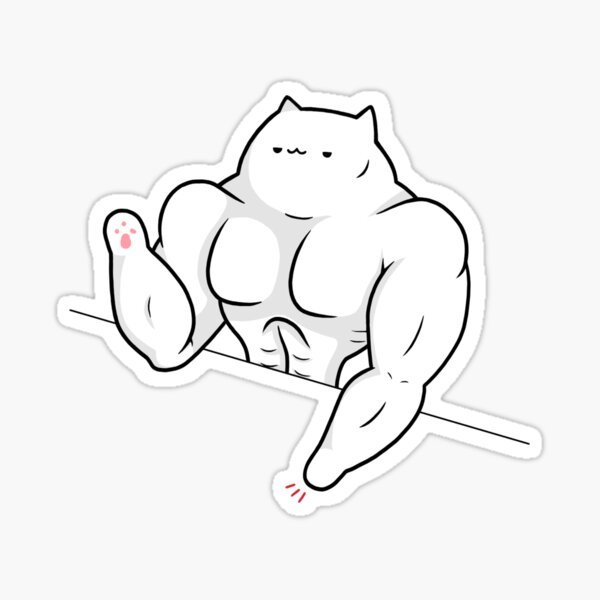 Кот качок