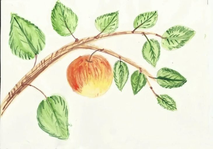 Рисование цветными карандашами для детей