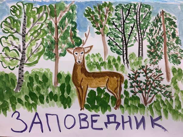 Мир заповедной природы рисунки на конкурс