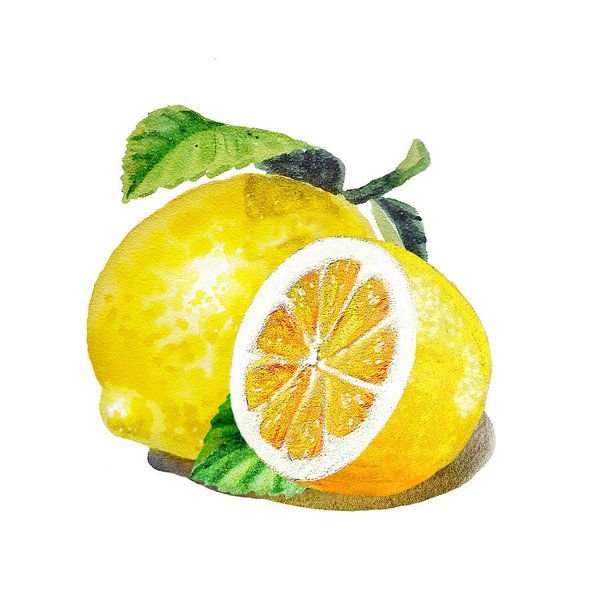 Лимон рисунок акварелью