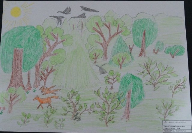 Заповедник рисунок