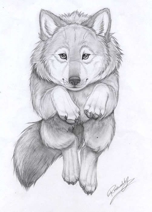 Рисуноа Аолеа