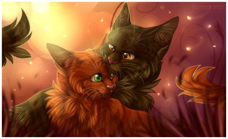 Коты Воители Ежевичная звезда